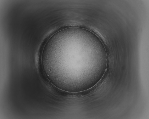 X0000103170679200808291511