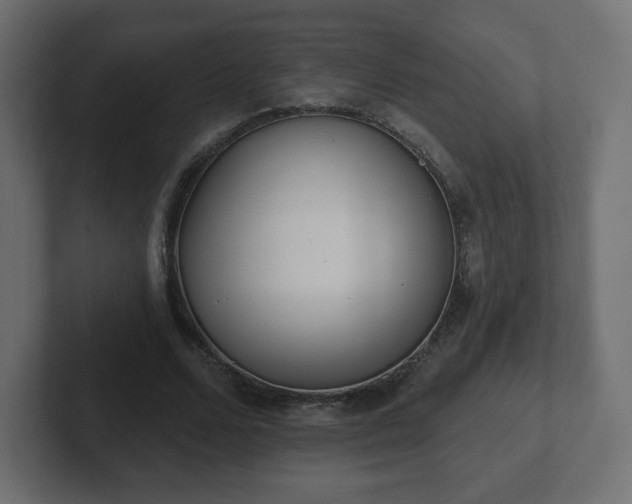 X0000103170680200808291511