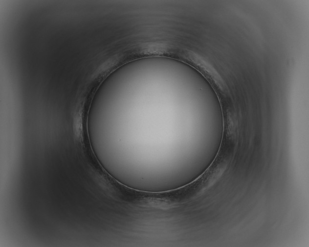 X0000103170681200808291510