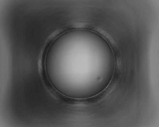 X0000103170682200808291510