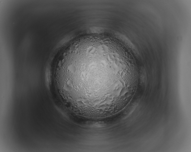 X0000103170683200808291510