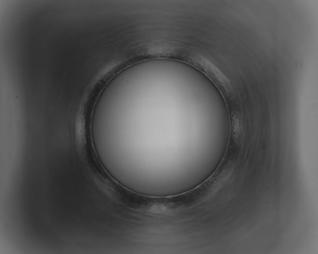 X0000103170684200808291510