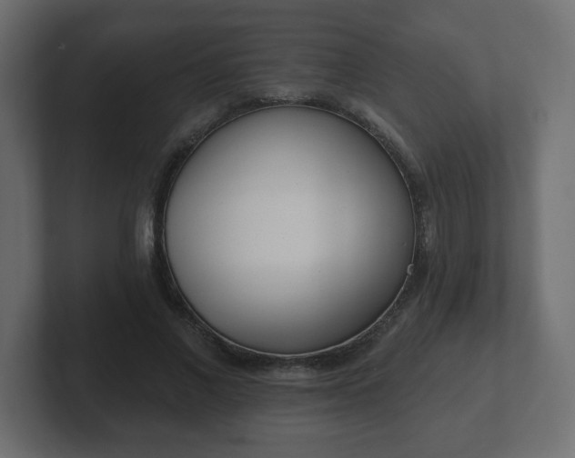 X0000103170685200808291510