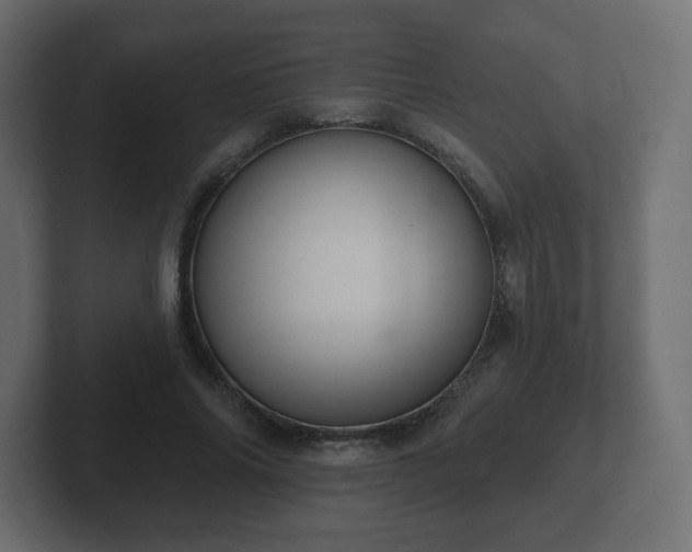 X0000103170686200808291510