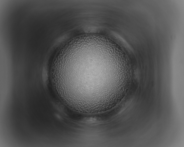 X0000103170687200808291510