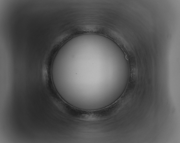 X0000103170688200808291510