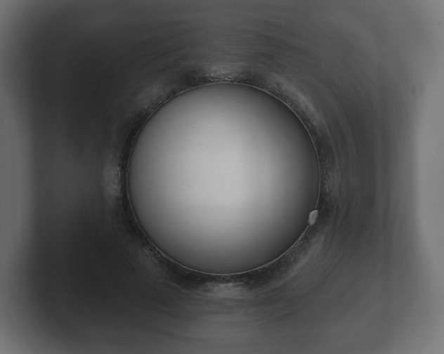 X0000103170689200808291510