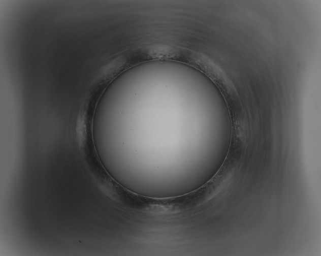 X0000103170690200808291510