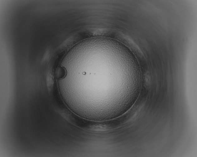 X0000103170691200808291510