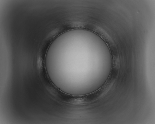 X0000103170692200808291510