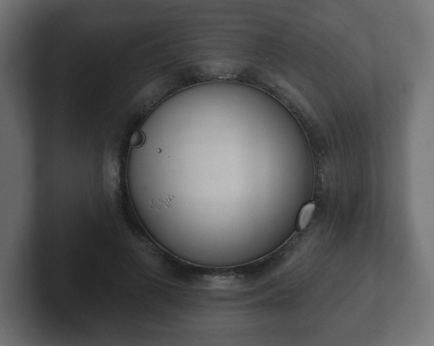 X0000103170693200808291510