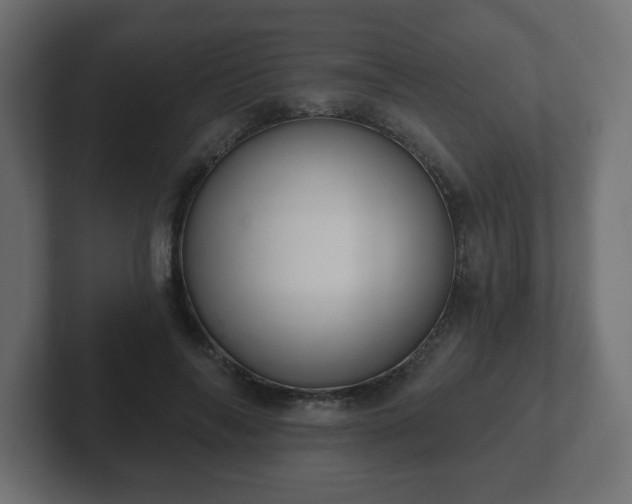 X0000103170694200808291510