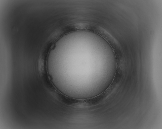 X0000103170696200808291510