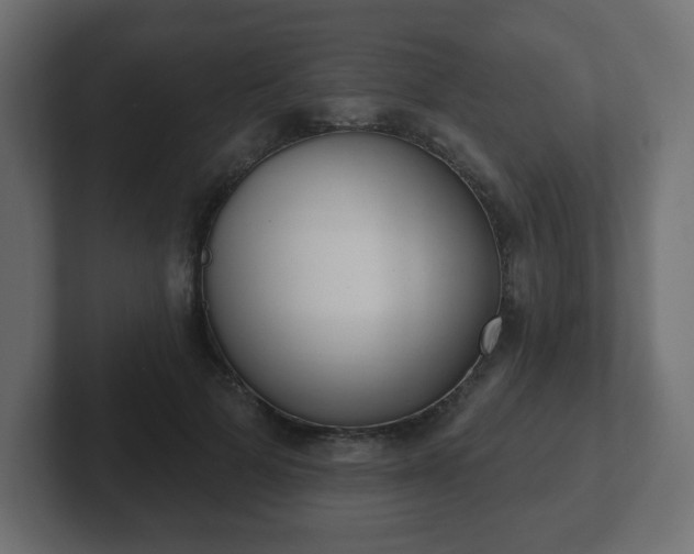 X0000103170697200808291510