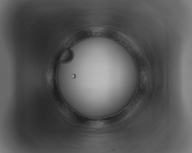 X0000103170698200808291510