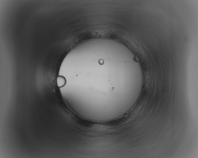 X0000103170699200808291510