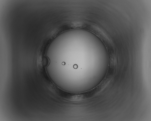 X0000103170700200808291510