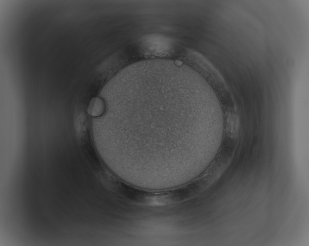 X0000103170701200808291510