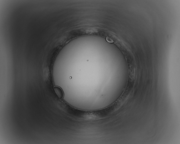 X0000103170704200808291510