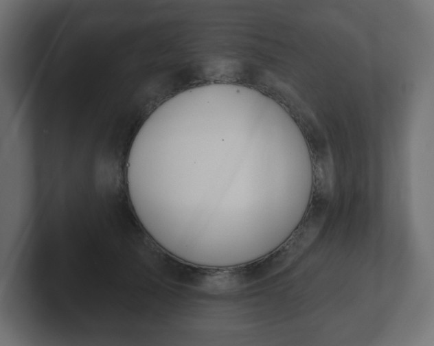 X0000103170705200808291510