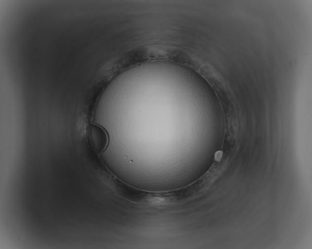 X0000103170706200808291510