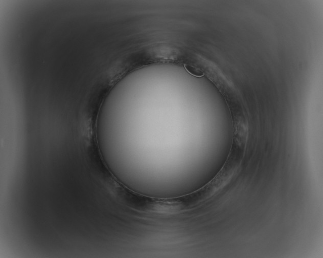 X0000103170707200808291510