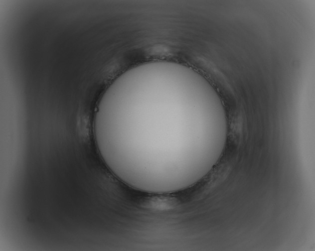 X0000103170708200808291510