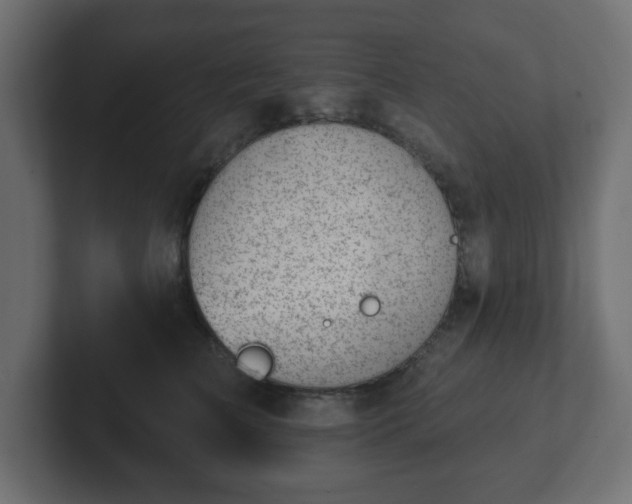 X0000103170709200808291510