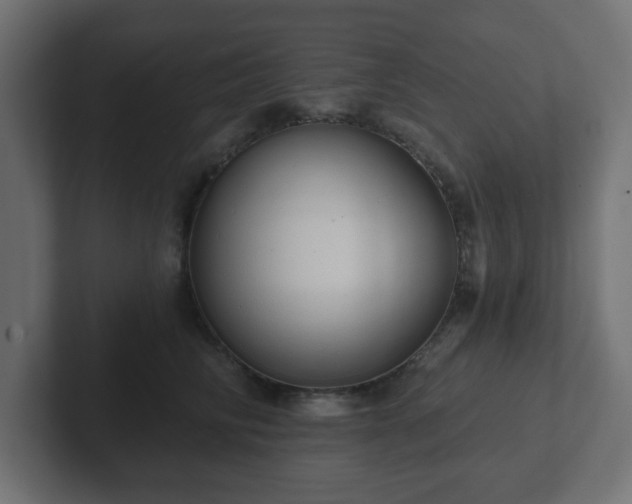 X0000103170710200808291510