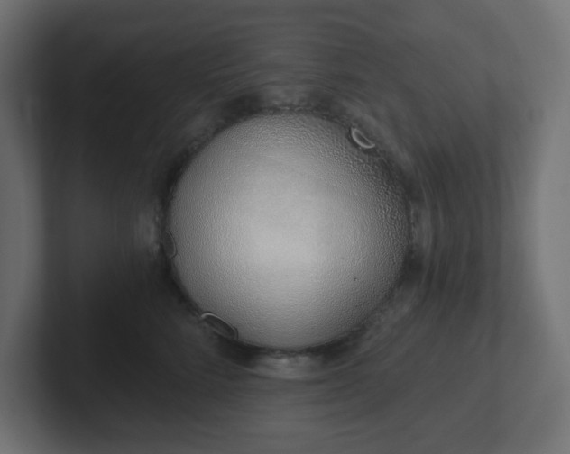 X0000103170712200808291510