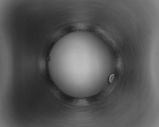 X0000103170715200808291510