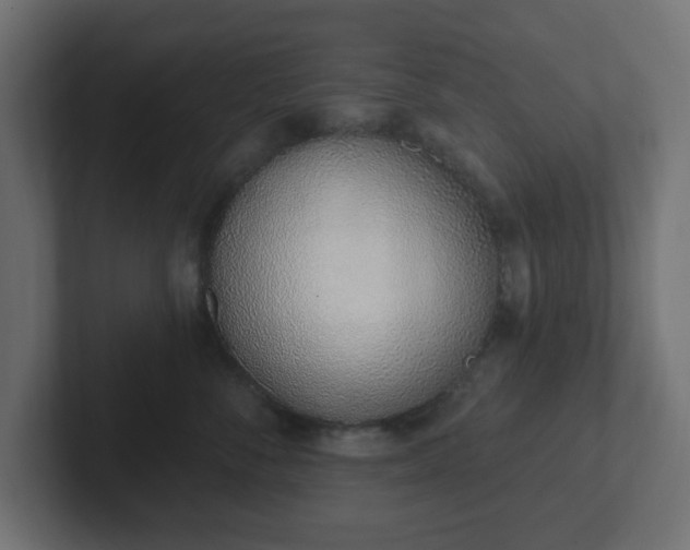 X0000103170716200808291510