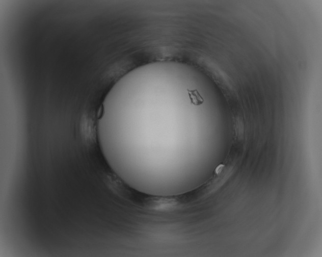 X0000103170719200808291510