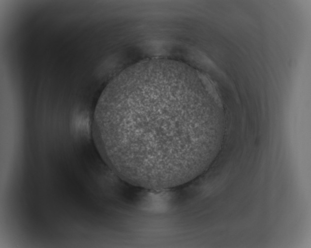 X0000103170720200808291510