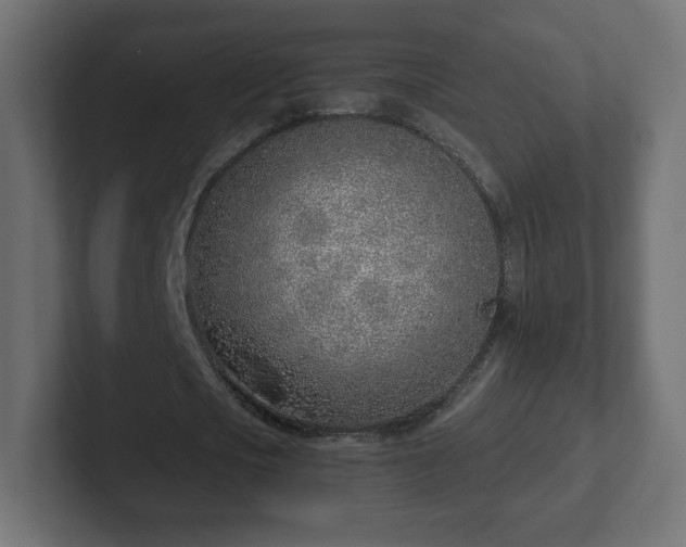 X0000103170721200808291509