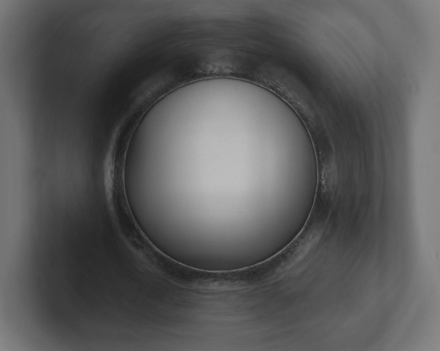 X0000103170722200808291509