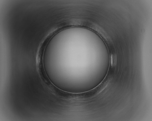 X0000103170723200808291509