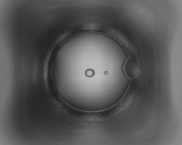 X0000103170724200808291509