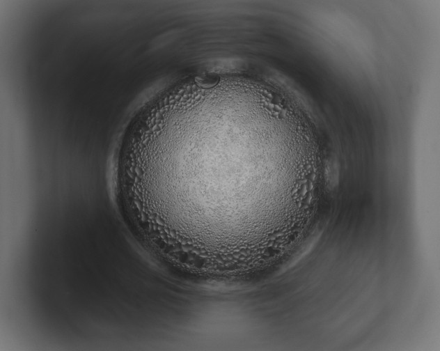 X0000103170725200808291509