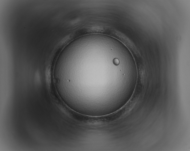 X0000103170729200808291509