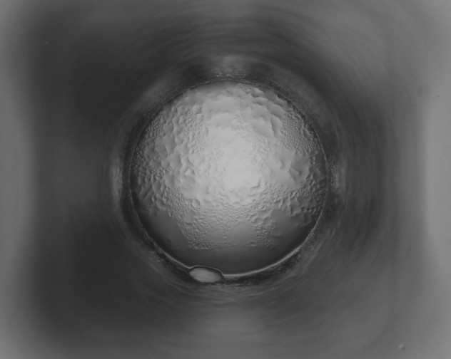 X0000103170733200808291510