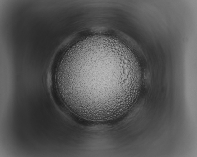 X0000103170734200808291510