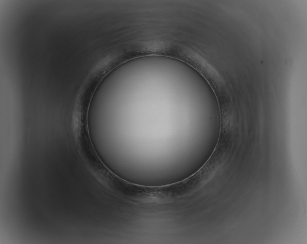 X0000103170736200808291510