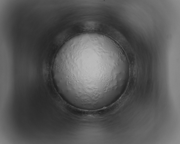 X0000103170737200808291510