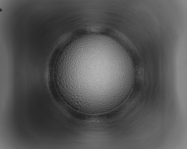 X0000103170738200808291510