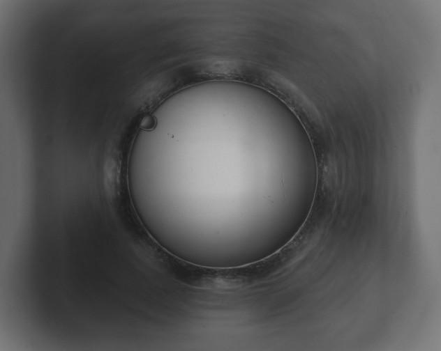 X0000103170739200808291510