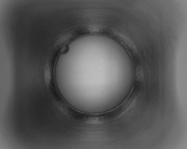 X0000103170740200808291510