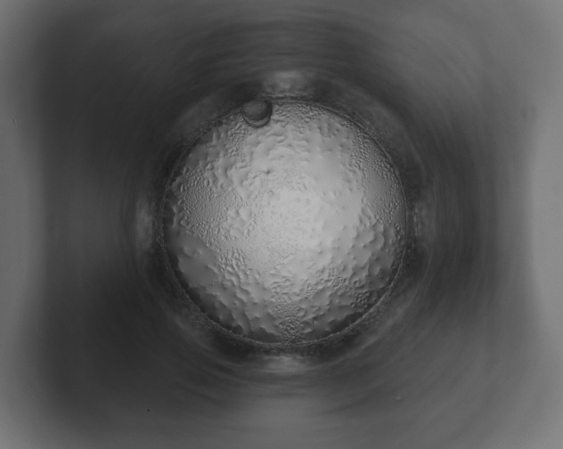 X0000103170741200808291510