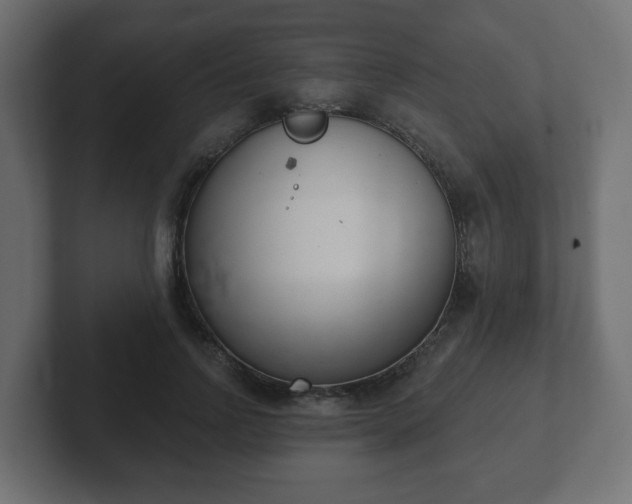 X0000103170742200808291510