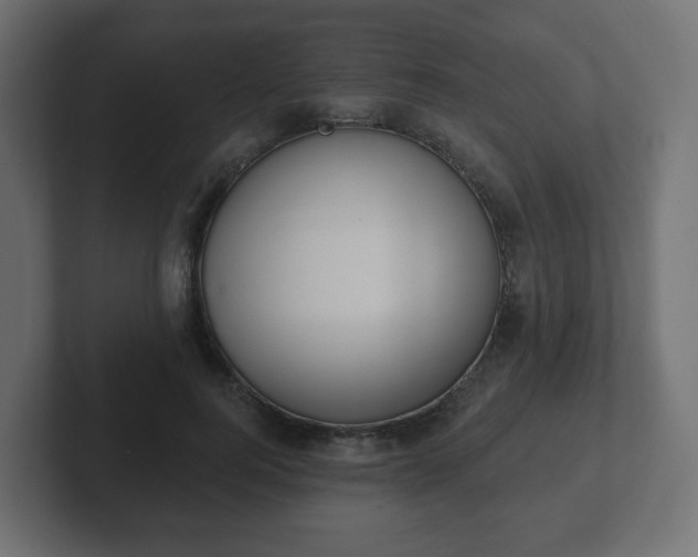 X0000103170744200808291510